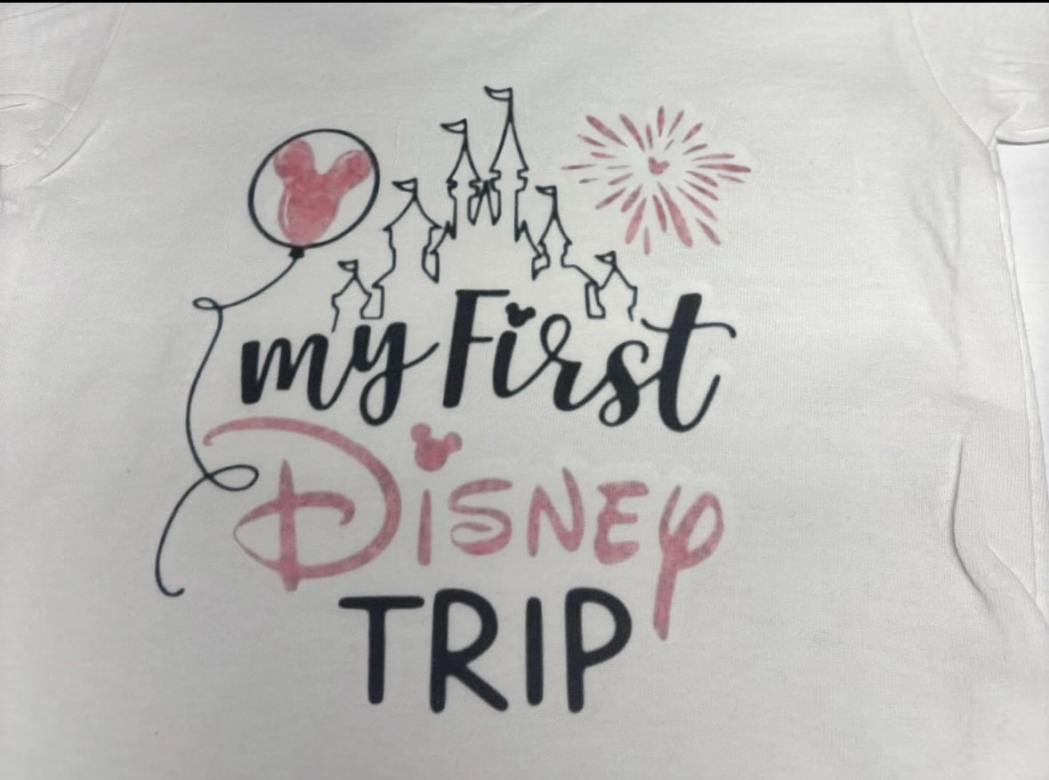 Theme Park Group T-shirt